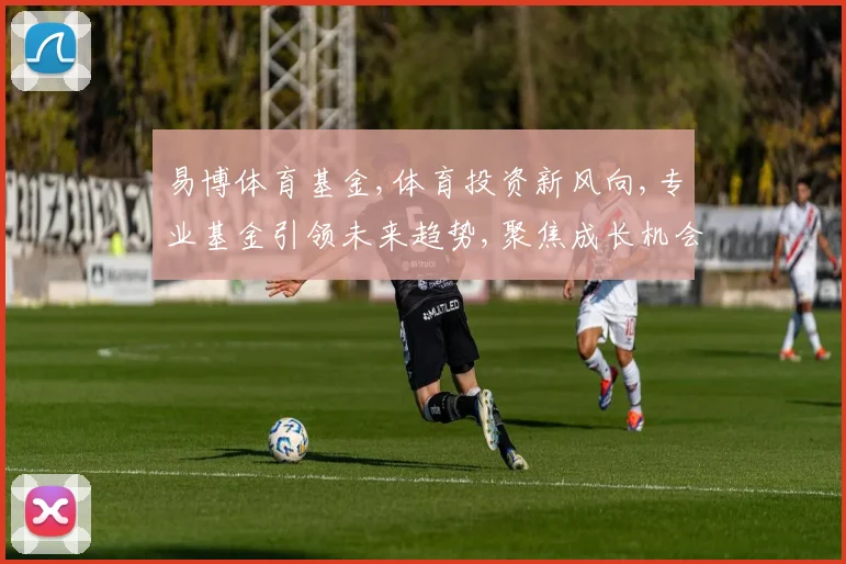 易博体育基金,体育投资新风向,专业基金引领未来趋势,聚焦成长机会,助力财富增值。