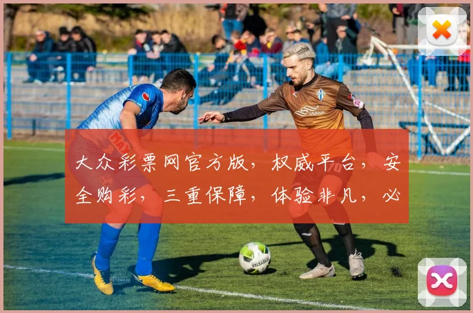大众彩票网官方版，权威平台，安全购彩，三重保障，体验非凡，必看攻略，轻松中奖