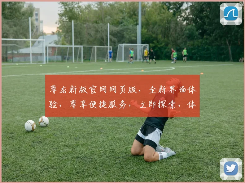 尊龙新版官网网页版，全新界面体验，尊享便捷服务，立即探索，体验升级之旅
